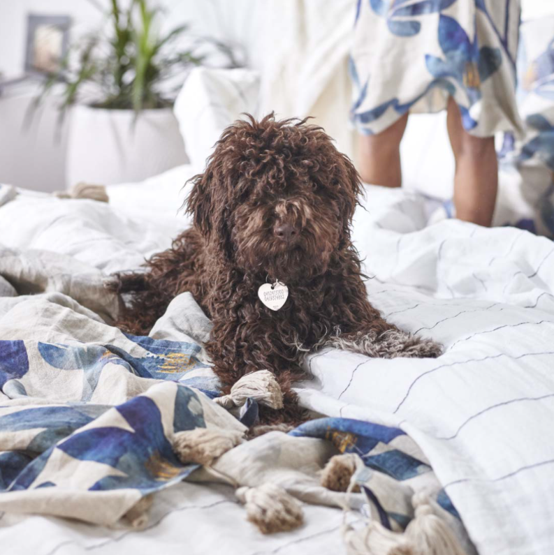 Tulip Linen Throw in Blue/Cream Floral: Eadie Lifestyle